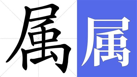 属 meaning|属 meaning and pronunciation